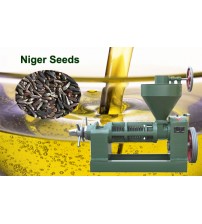 Niger Seed Oil