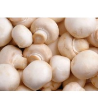 Mushroom (Edible)